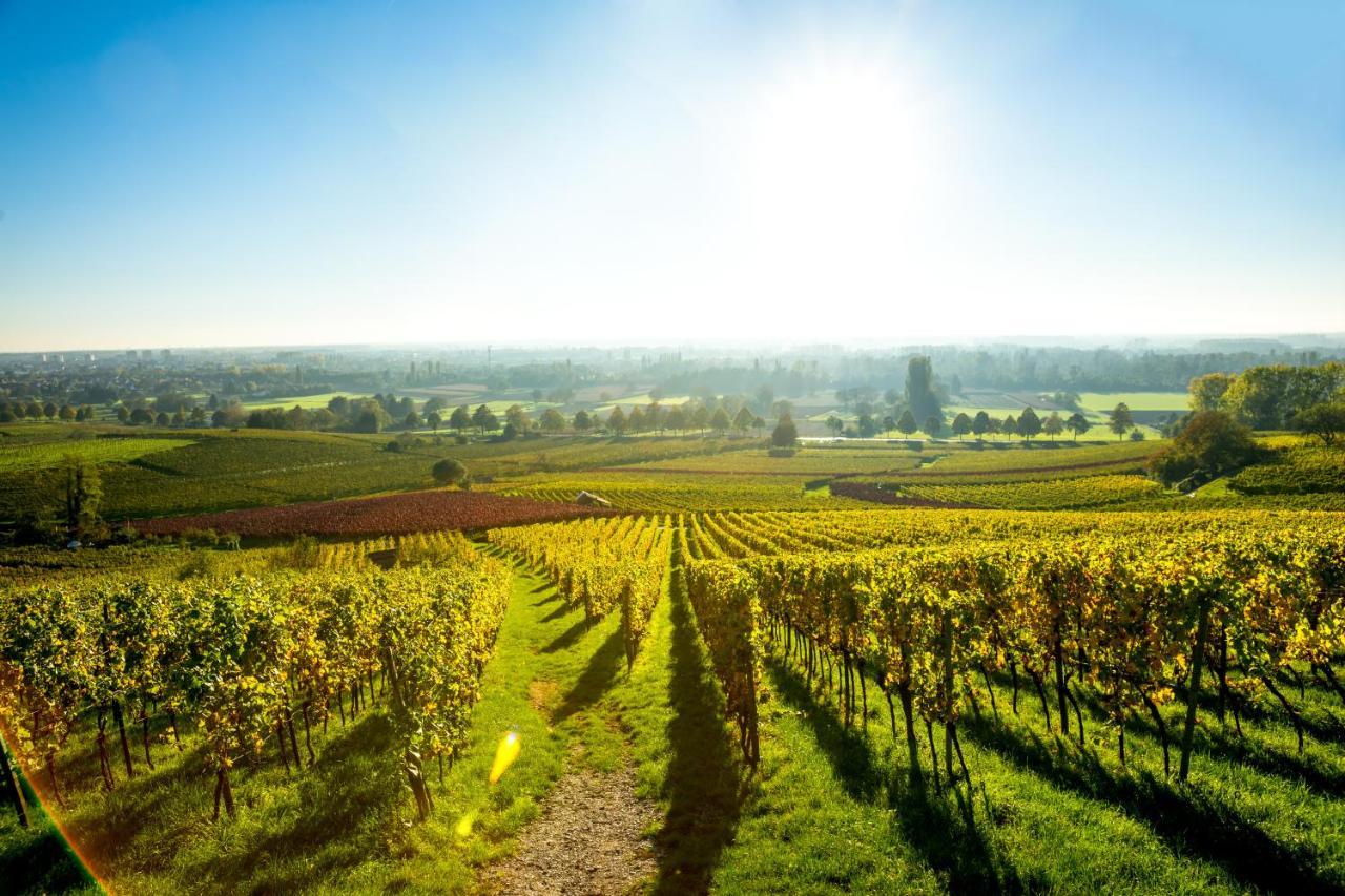 Clos Ceres Vire  Exterior photo